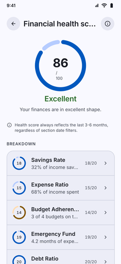 Detailed Analytics screenshot: Financial health score out of 100 with its four parts